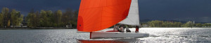 insign Cup - e-mOcean pur - segeln in der Brise