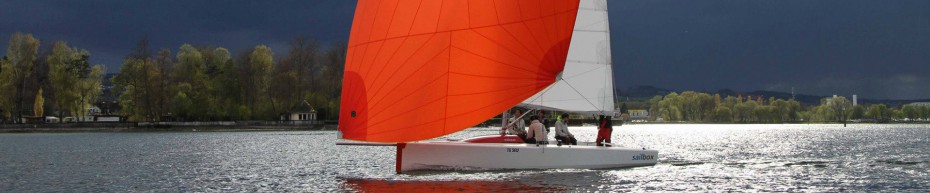 insign Cup - e-mOcean pur - segeln in der Brise