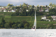 Team PwC vor der Badi Herrliberg