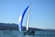 insign-cup-2016-048