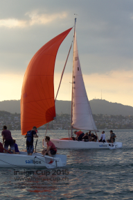 Insign-cup-2015 1982