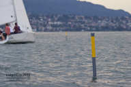 Insign-cup-2015 1877